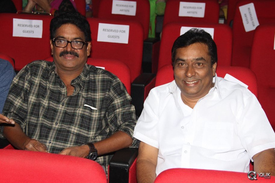 Srimanthudu-Movie-Thank-You-Function